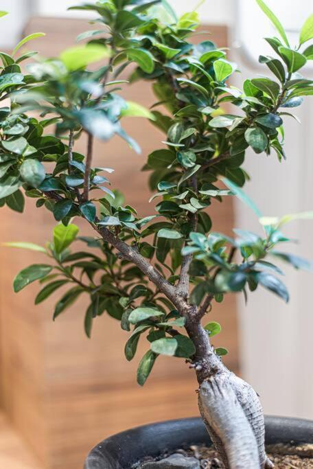 Peaceful Shelter In Athens Apartment Ngoại thất bức ảnh